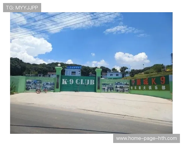 深圳新鹏城外线突破多次引发险情